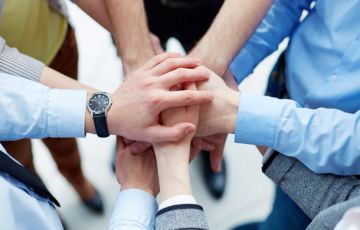 Lawyers team